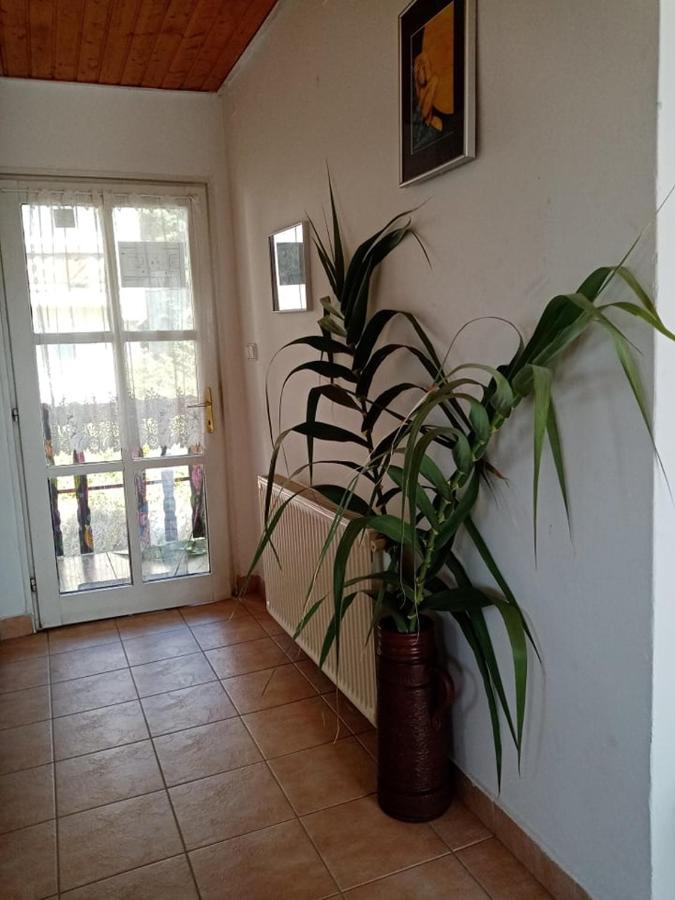Kekturas-Tora Nyilo Badacsonyi Privat Berlemeny Hotel Badacsonytomaj Luaran gambar